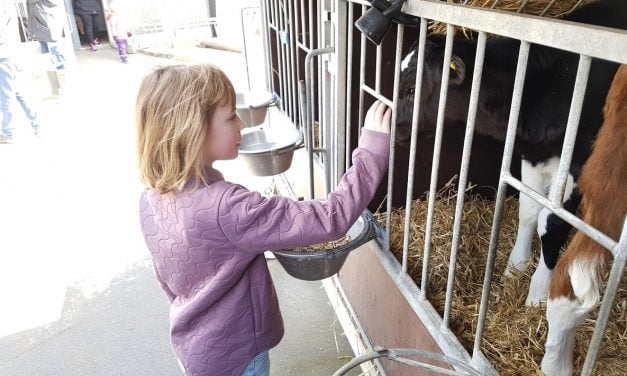 Vores økologiske gårdbesøg