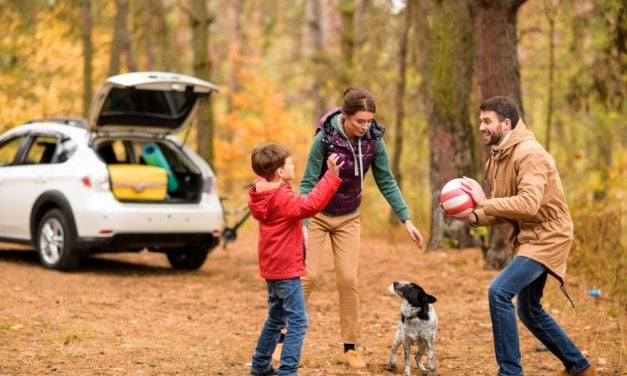 Er du klar til en af de elskede familieudflugter?