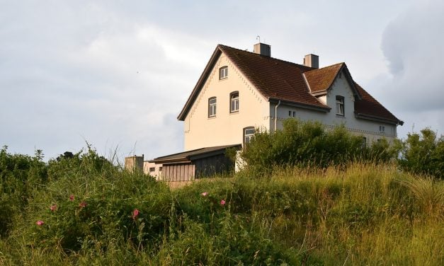 Familietur i sommerhus
