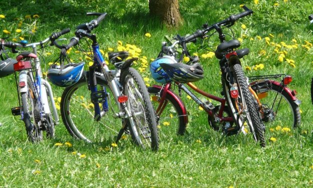 Familieudflugt med fokus på natur og bevægelse