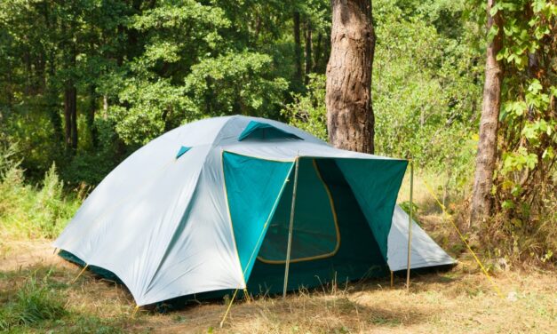 6 gode produkter til dig, der elsker udflugter i naturen